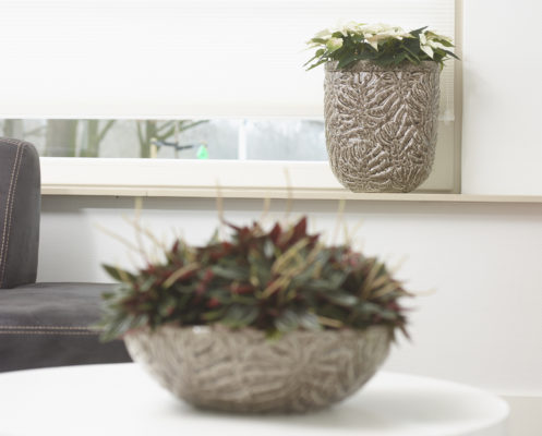 Welke planten in de vensterbank? | TS Collection | inspiratie blog | Indoor Garden | Urban Jungle | Bijzondere bloempotten | Interieur tips | Woontips | Interieur styling | Planten binnen |