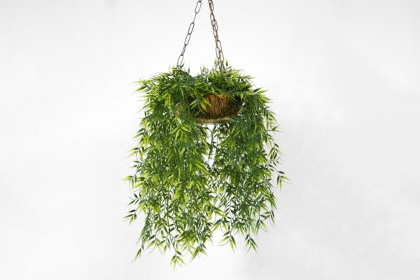 Hangplanten | Macrame | Planten ophangen | Hangpot | Hangplant | Planten trends | Maak je eigen macrame | Macrame tips | Macrame touw | Macrame maken