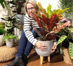 Waardeer je woonplant dag | Huisplant | woonplanten | bloempotten | huiskamerplant | indoorplant | kamerplanten | binnenplant | makkelijke plant voor binnen | TS | TS collection | kentiapalm