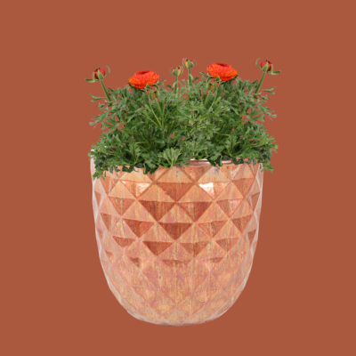 TS Ceramics | TS Collection | Bloempotten van keramiek | bloempotten voor buiten | Grote bloempotten | Keramieken bloempotten | Exclusieve bloempot voor buiten