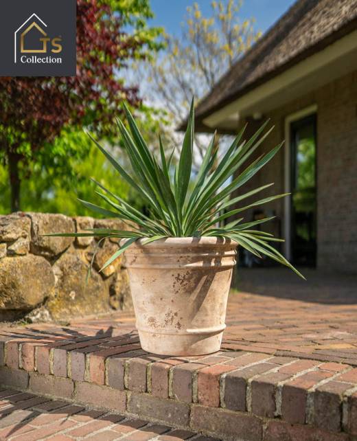 2026_Blok_520x642--voorheen346,6615